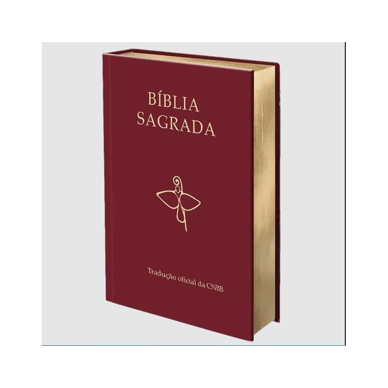 Bíblia Sagrada - Tradução Oficial da CNBB - 6ª Edição - Semiluxo