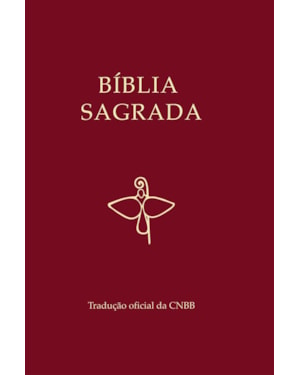 BÍBLIA SAGRADA VINHO SEMI LUXO T