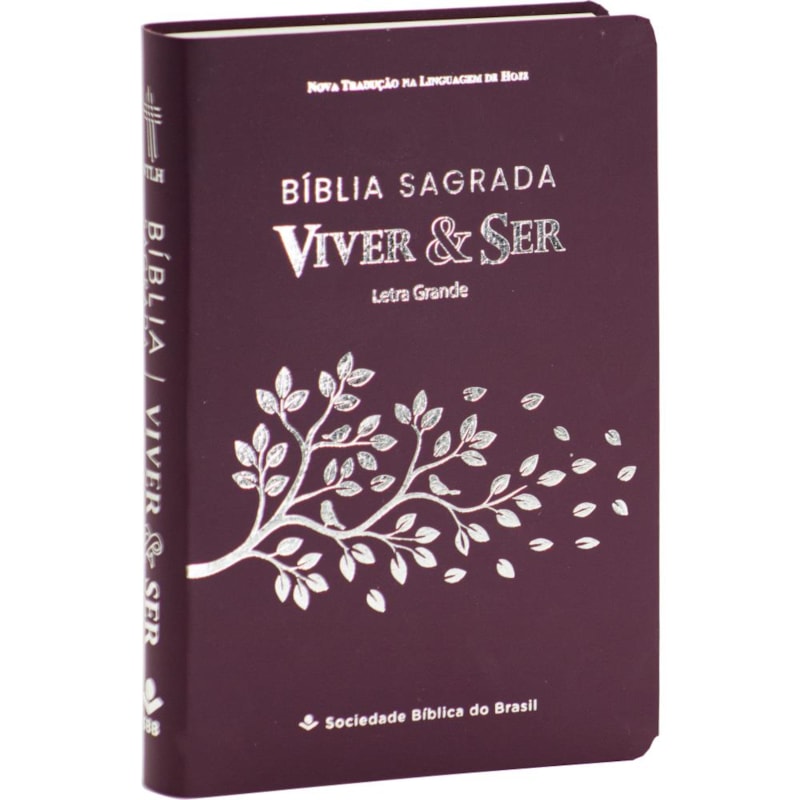 BÍBLIA SAGRADA VIVER E SER: NOVA TRADUÇÃO NA LINGUAGEM DE HOJE (NTLH)