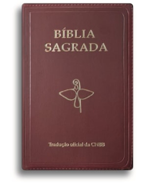 BÍBLIA SAGRADA ZÍPER - TRADUÇÃO OFICIAL