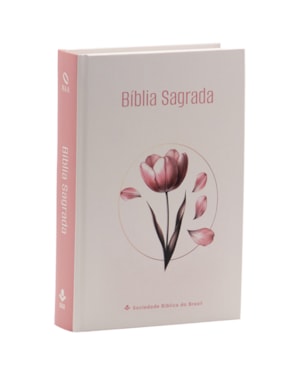 BÍBLIA SEMEAR NAA, LETRA REGULAR, CAPA DURA ILUSTRADA: NOVA ALMEIDA ATUALIZADA (NAA)