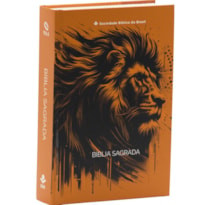BÍBLIA SEMEAR NAA, LETRA REGULAR, CAPA DURA LARANJA: NOVA TRADUÇÃO NA LINGUAGEM DE HOJE (NTLH)