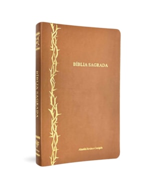 BÍBLIA SLIM ARC CAPA LUXO CARAMELO