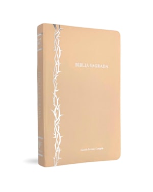 BÍBLIA SLIM ARC CAPA LUXO ROSE