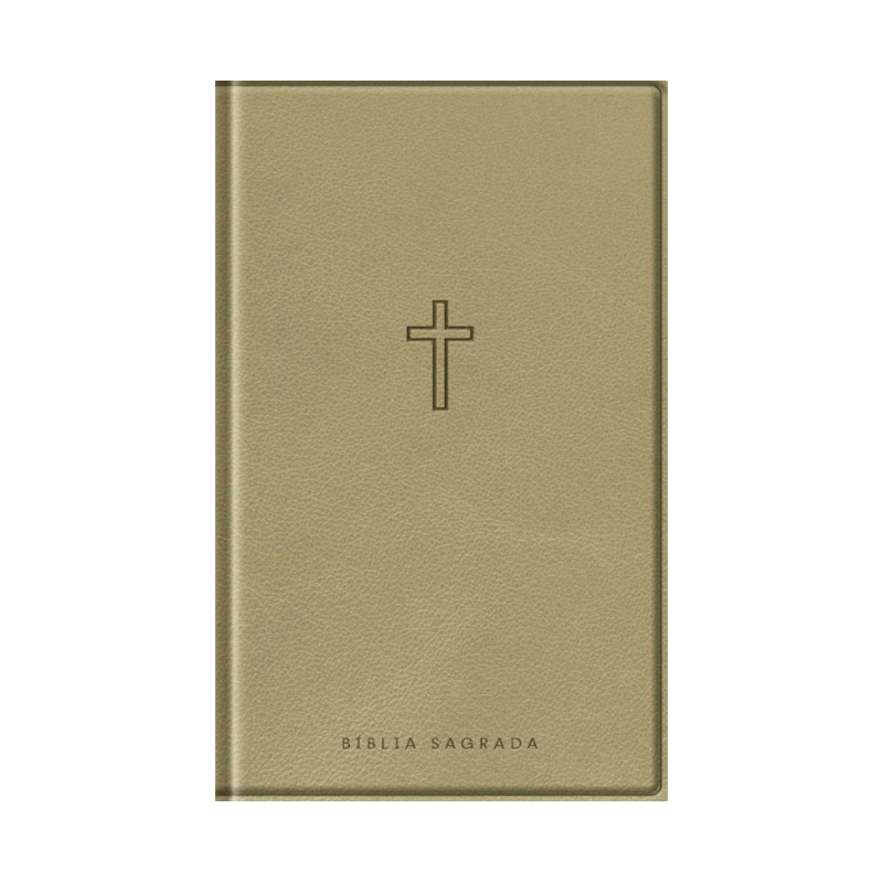 Bíblia Slim - Com Mapas Mentais - NAA - Bege