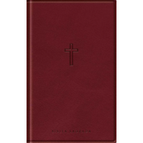 Bíblia Slim - Com Mapas Mentais - NAA - Vinho