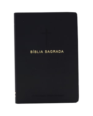 BÍBLIA SLIM NAA, LETRA REGULAR, COM PALAVRAS DE JESUS DESTACADAS, CAPA COURO SINTÉTICO PRETA: NOVA ALMEIDA ATUALIZADA (NAA)