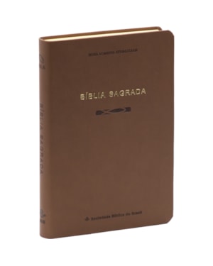 BÍBLIA SLIM NAA, LETRA REGULAR, COM PALAVRAS DE JESUS DESTACADAS, CAPA MARROM: NOVA ALMEIDA ATUALIZADA (NAA)
