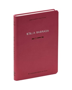 BÍBLIA SLIM NAA, LETRA REGULAR, COM PALAVRAS DE JESUS DESTACADAS, CAPA ROSA: NOVA ALMEIDA ATUALIZADA (NAA)