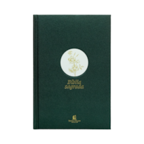 BÍBLIA SLIM NVI, LETRA GRANDE, TECIDO VERDE SOBRE CAPA DURA, FLOR MINIMALISTA: BÍBLIA NVI COMPACTA