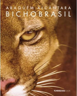 Bicho Brasil