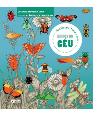 Bichos do céu