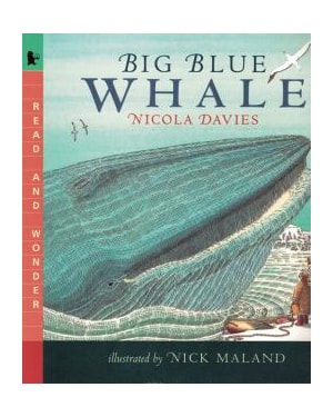 BIG BLUE WHALE