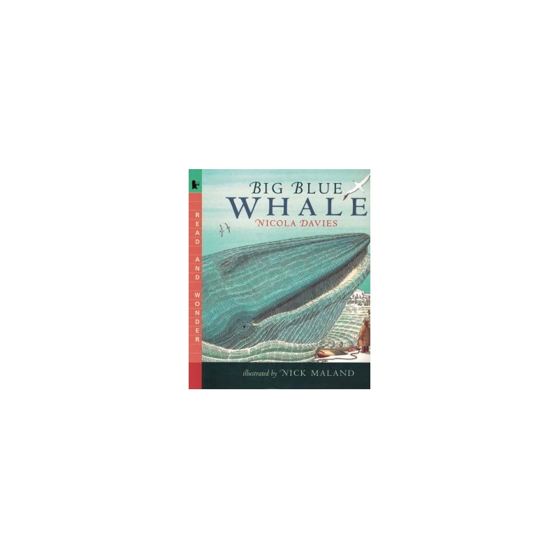 BIG BLUE WHALE