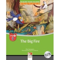 BIG FIRE - LEVEL A