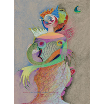 BIONÍRICA - UMA BIOGRAFIA SONHADA