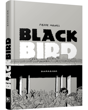 Blackbird