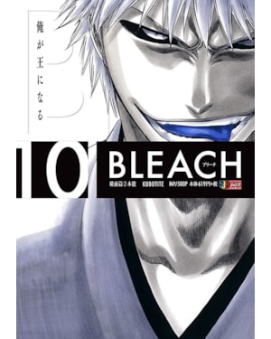 Bleach remix - vol. 10