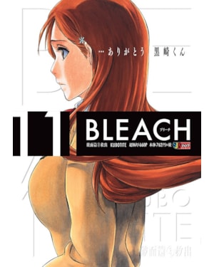 Bleach remix vol. 11