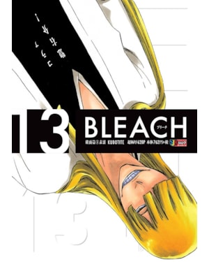 Bleach remix vol. 13