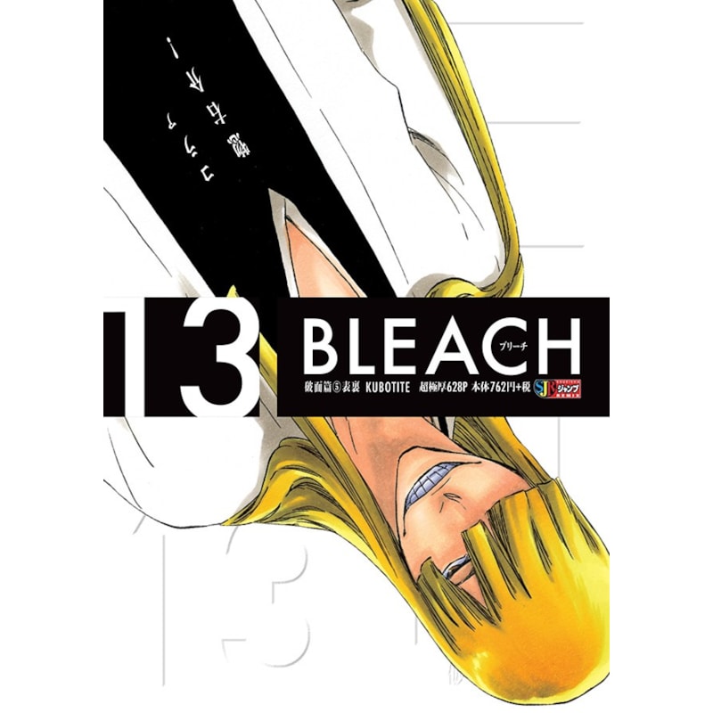 Bleach remix vol. 13