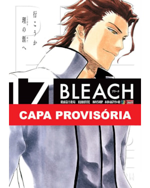 Bleach remix vol. 17