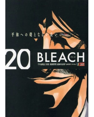 Bleach remix vol. 20