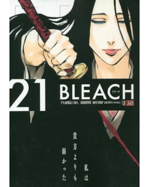 Bleach remix vol. 21