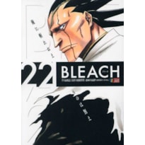 Bleach remix vol. 22