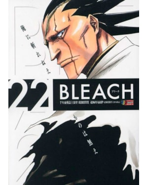 Bleach remix vol. 22
