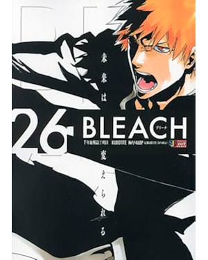 Bleach remix vol. 26