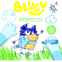 BLUEY LIVRO DE HISTÓRIA - PERFEITO