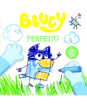 BLUEY LIVRO DE HISTÓRIA - PERFEITO