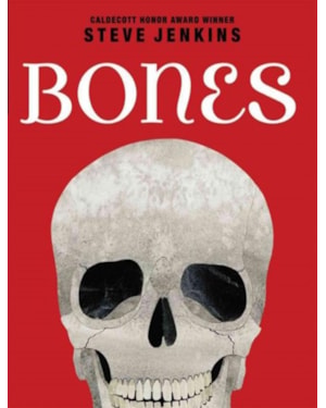 BONES - SKELETONS AND HOW THEY WORK