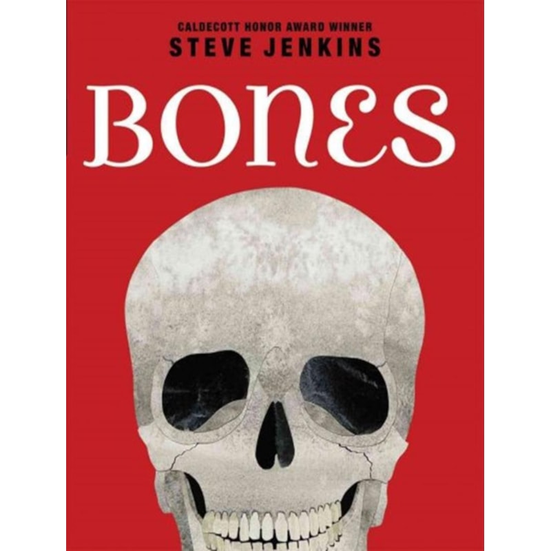 BONES - SKELETONS AND HOW THEY WORK