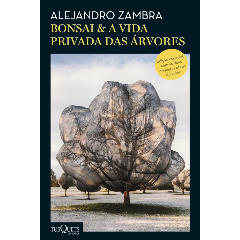 BONSAI & A VIDA PRIVADA DAS ÁRVORES