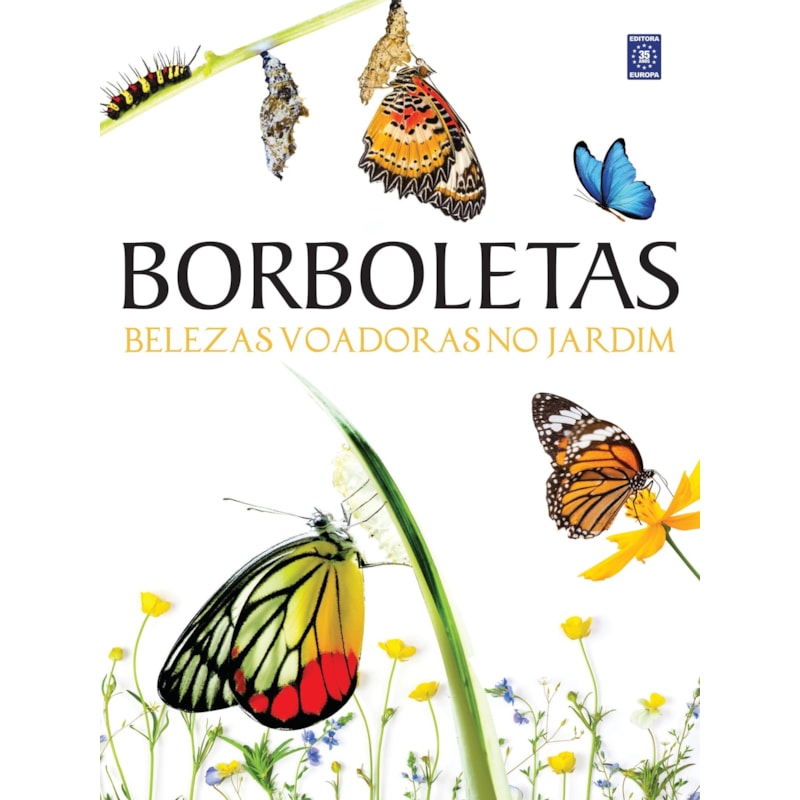 BORBOLETAS - BELEZAS VOADORAS NO JARDIM
