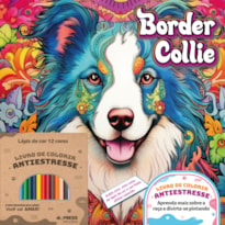 BORDER COLLIE