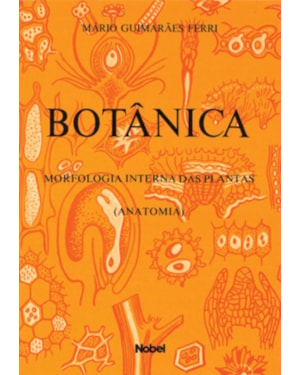 BOTÂNICA : MORFOLOGIA INTERNA DAS PLANTAS