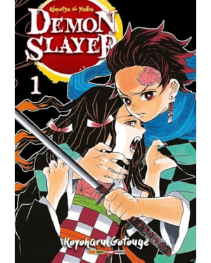 Box demon slayer vols. 1 ao 23