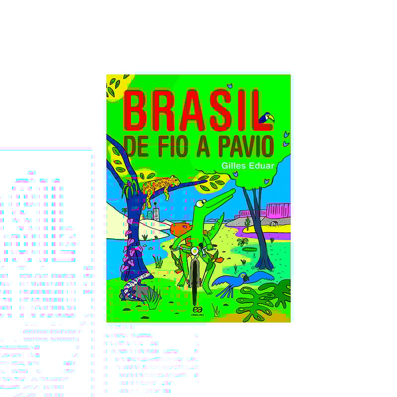BRASIL DE FIO A PAVIO: VIAGEM PELOS ESTADOS BRASILEIROS