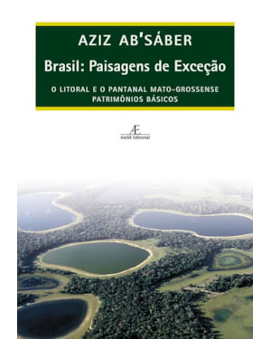 BRASIL: PAISAGENS DE EXCEÇÃO: O LITORAL E O PANTANAL MATO-GROSSENSE: PATRIMÔNIOS BÁSICOS