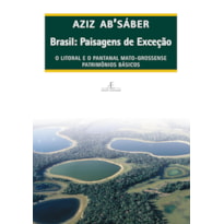 BRASIL: PAISAGENS DE EXCEÇÃO: O LITORAL E O PANTANAL MATO-GROSSENSE. PATRIMÔNIOS BÁSICOS
