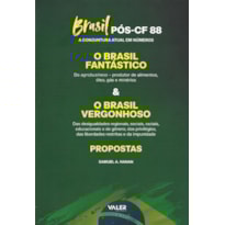 BRASIL PÓS-CF 88 - A CONJUNTURA ATUAL EM NÚMEROS.