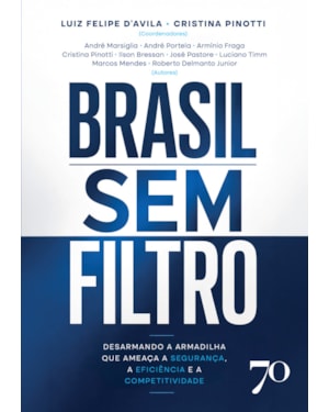 Brasil Sem Filtro: Desarmando a Armadilha que Ameaça a Segurança, a Eficiência e a Competitividade