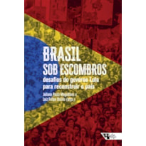 BRASIL SOB ESCOMBROS - DESAFIOS DO GOVERNO LULA PARA RECONSTRUIR O PAÍS