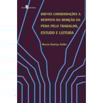 Breves considerações a respeito da remição da pena pelo trabalho, estudo e leitura