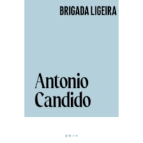 Brigada ligeira