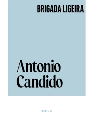 Brigada ligeira