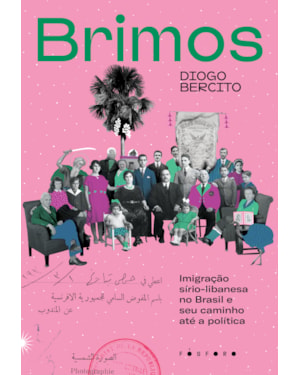 BRIMOS: IMIGRAÇÃO SÍRIO-LIBANESA NO BRASIL E SEU CAMINHO ATÉ A POLÍTICA